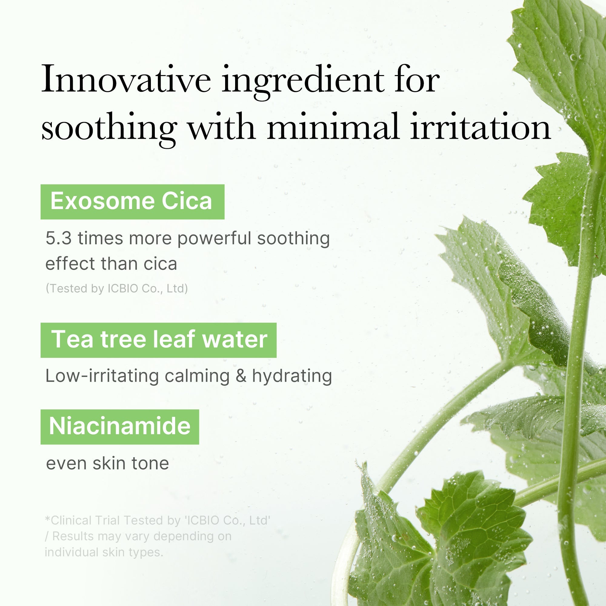Exosome Cica Calming Toner Pads W7